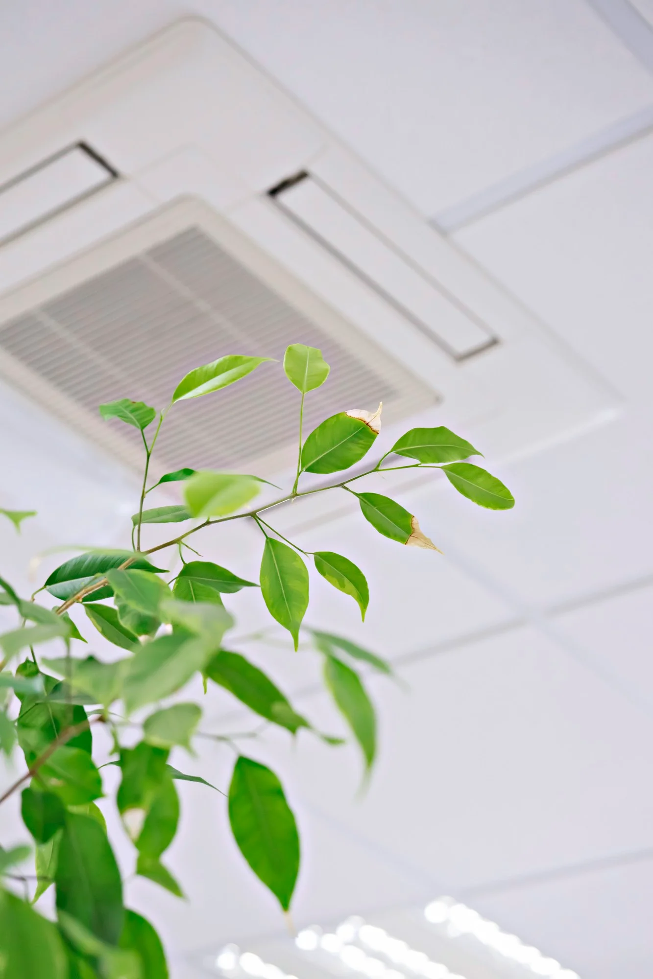 Energy Efficiency